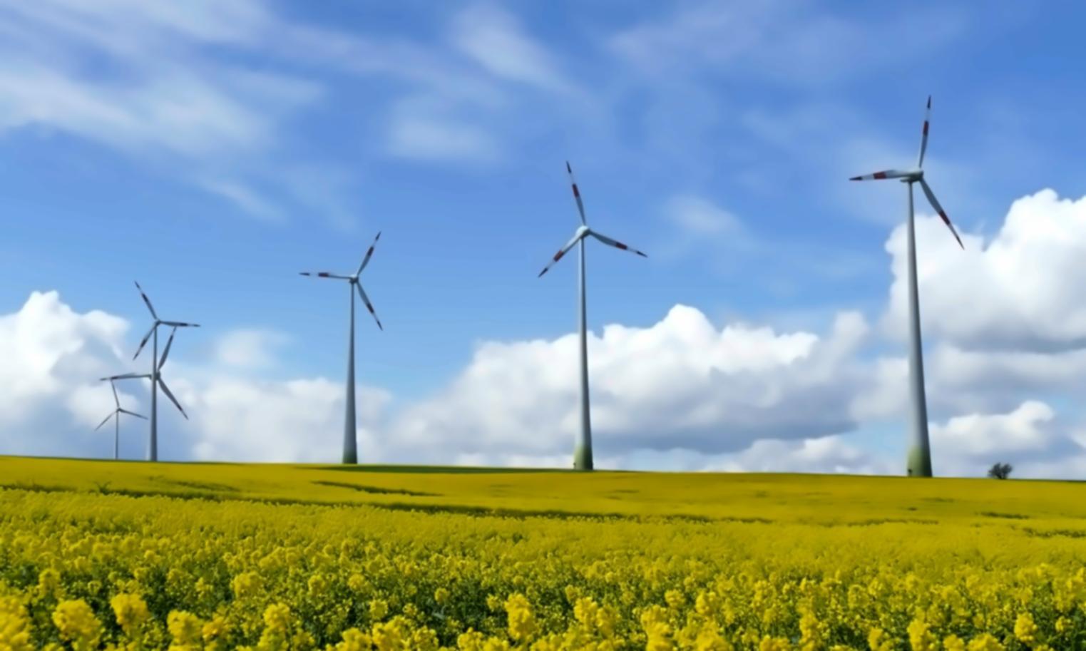 Field research team documenting wildlife behavior in mountain habitat