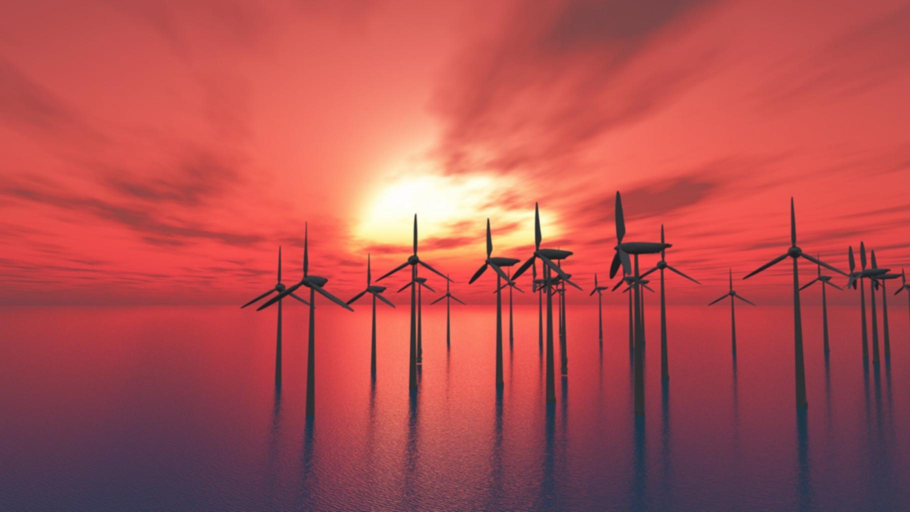 Alpine vegetation survey and plant identification work